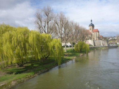 Kraichgau_Kringel_20240316_0040.JPG