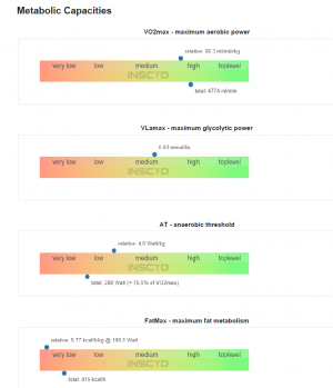 INSCYD_Metabolic Capacities.PNG