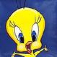 Tweety81