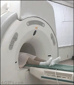 Japanese-MRI.gif
