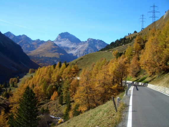 Albula_im_Herbst