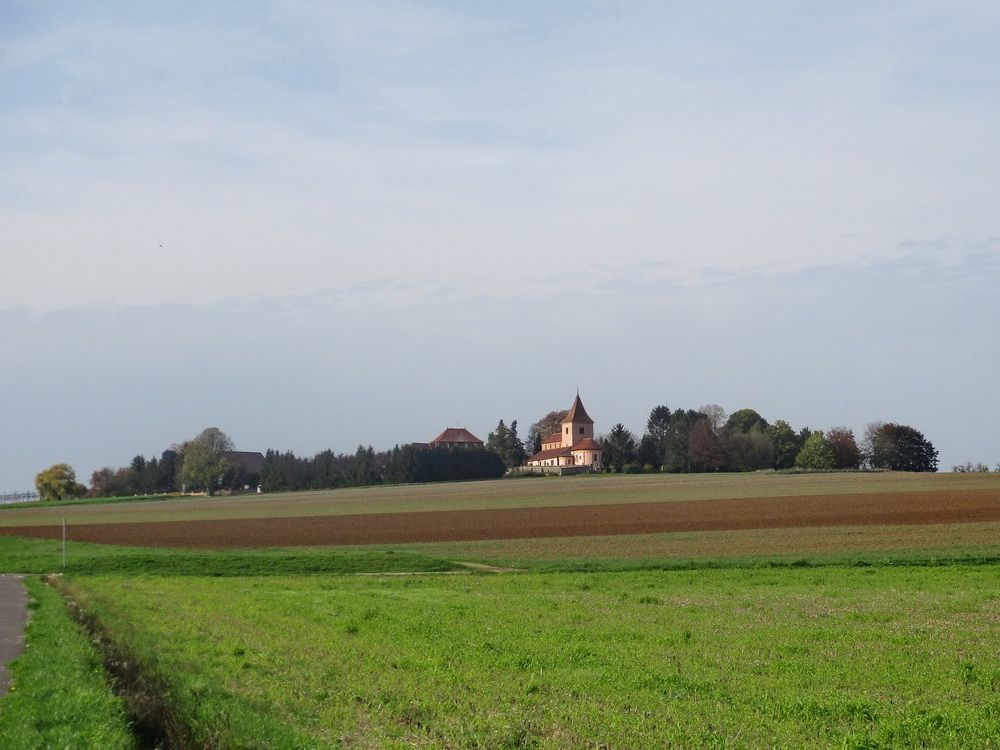 01.JPG