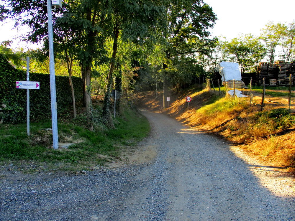 01.JPG