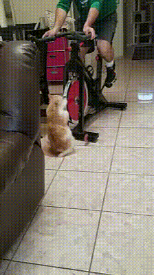 02.gif
