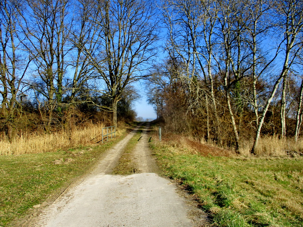 02.JPG