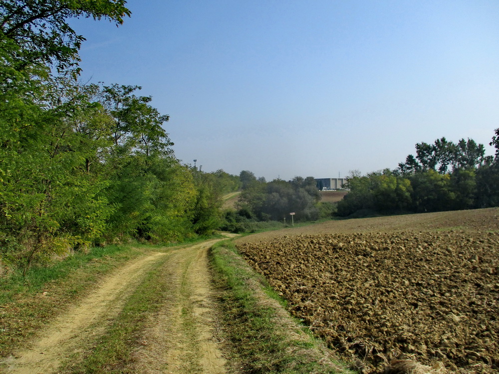 02.JPG