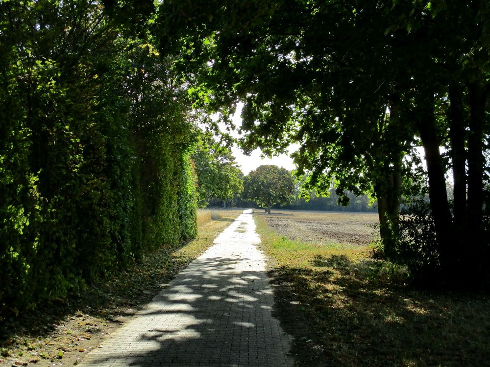 02.JPG