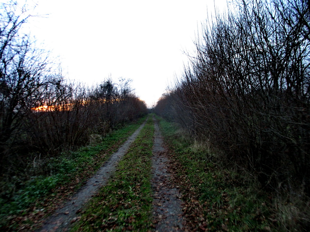 03.JPG