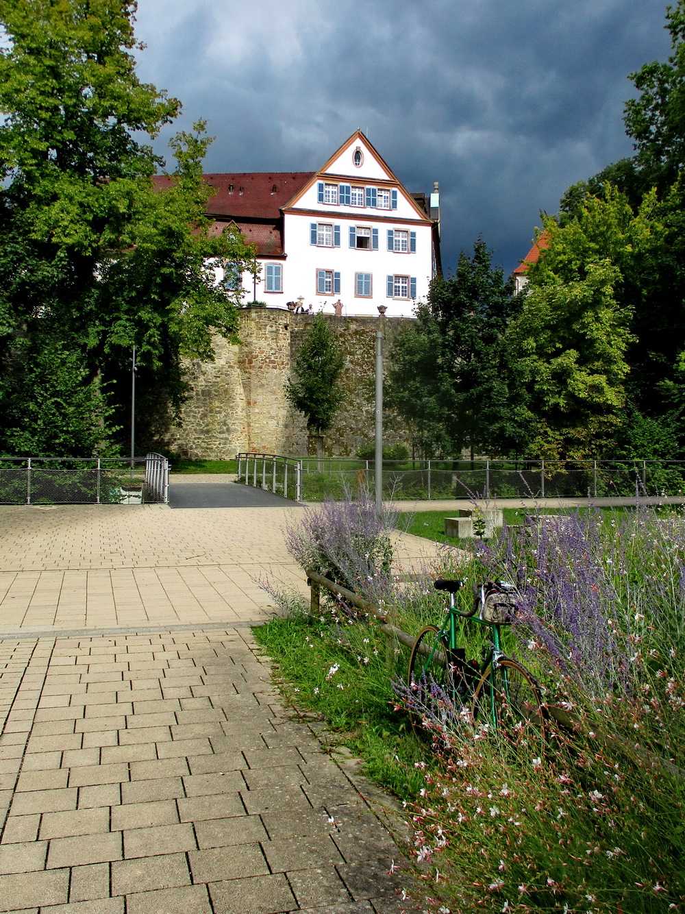 03.JPG