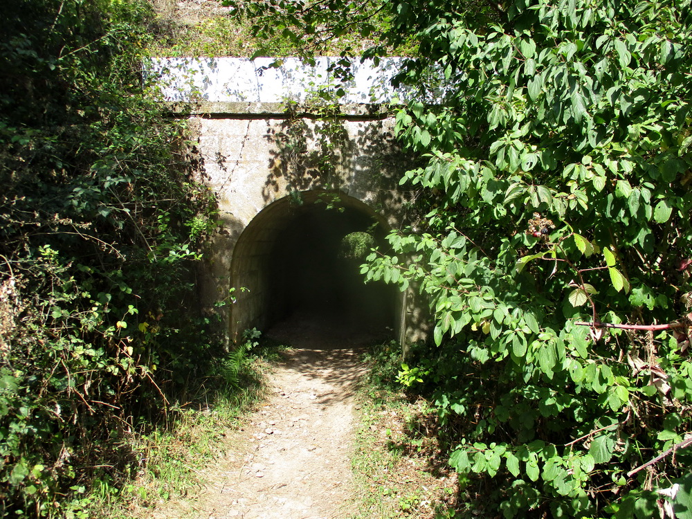 03.JPG