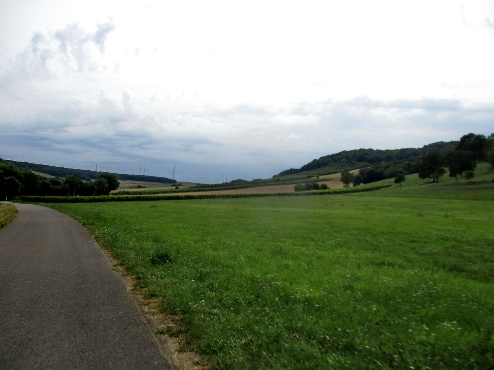 03.JPG
