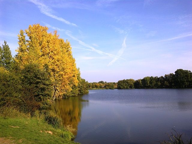 03102015449.jpg
