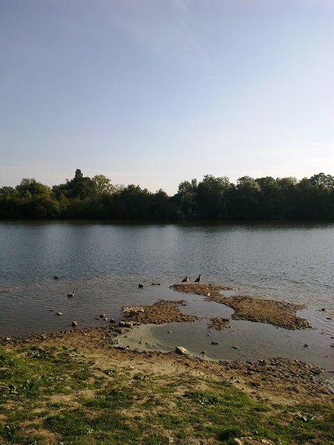 03102015451.jpg