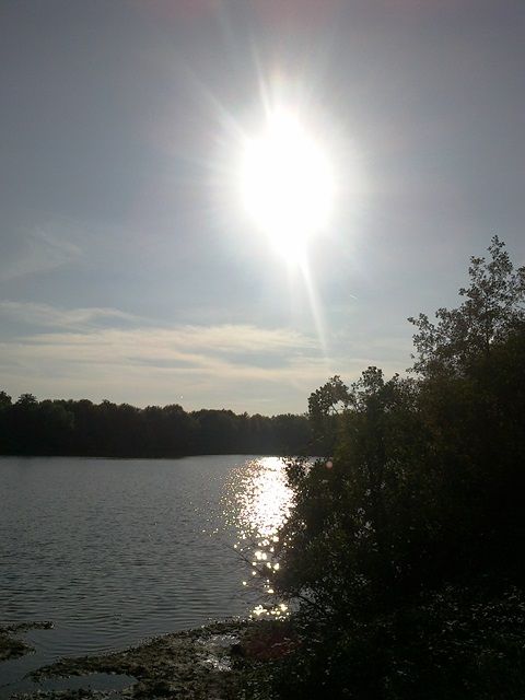 03102015452.jpg