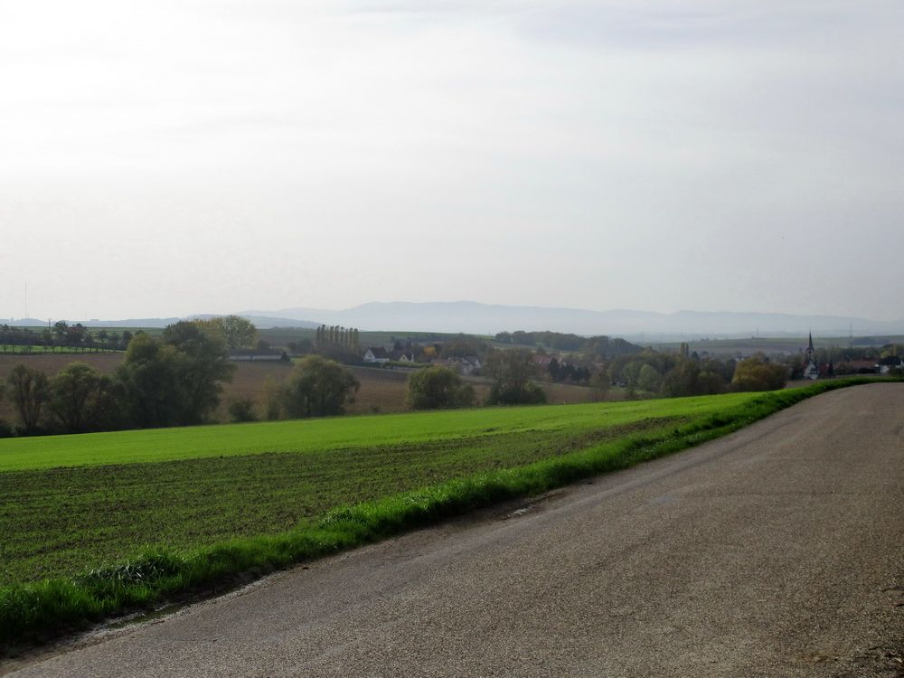 04.JPG