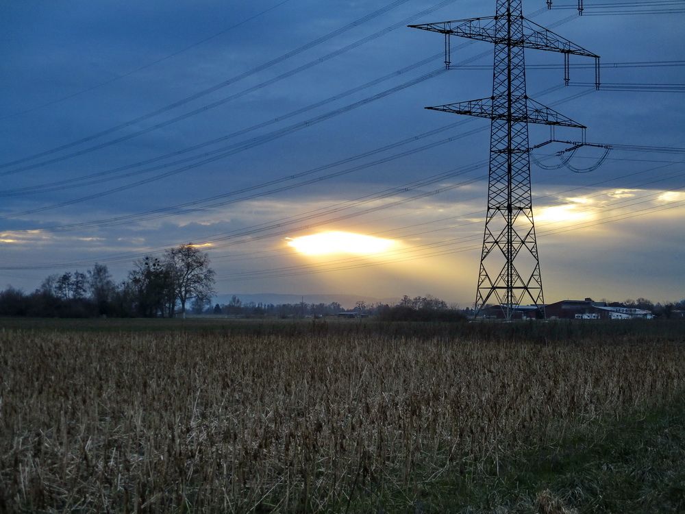 04.JPG