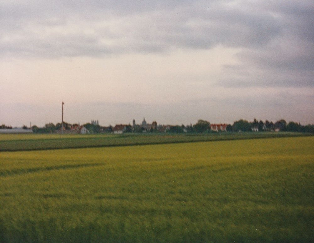 04.jpg