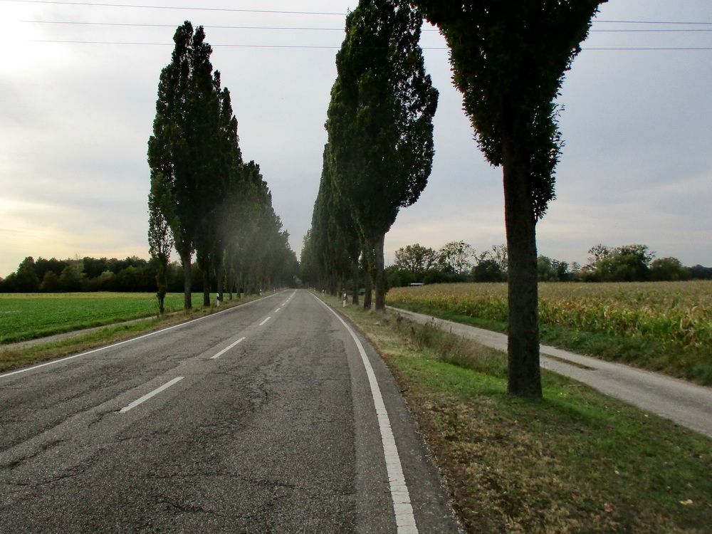 04.JPG