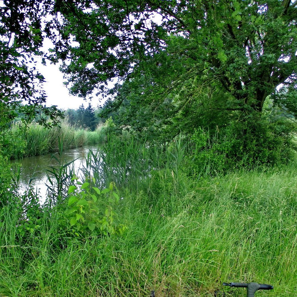 04.JPG
