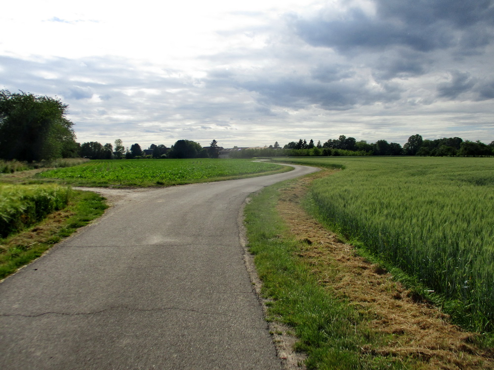 04.JPG