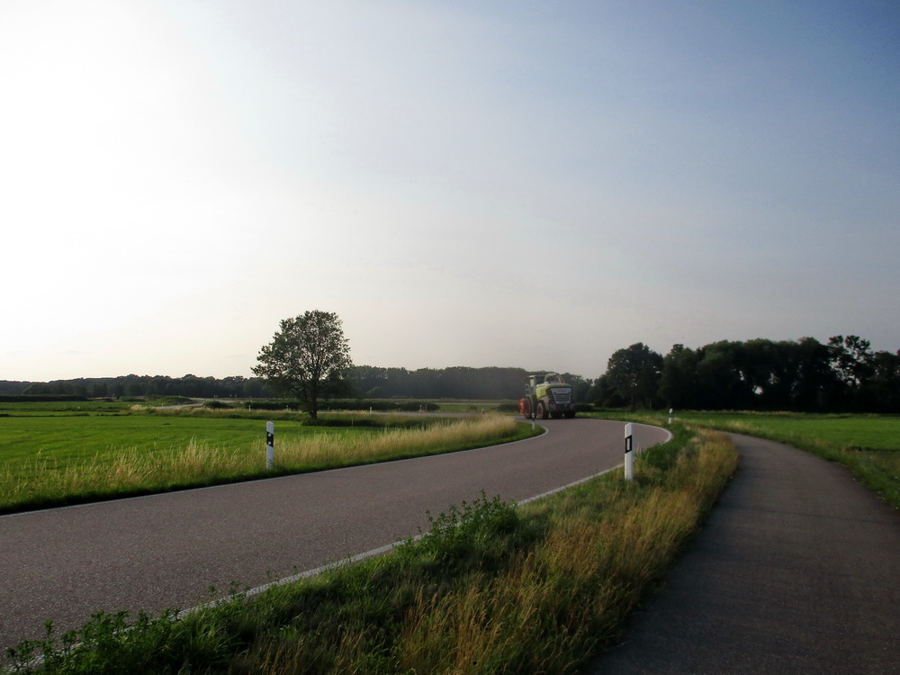 04.JPG