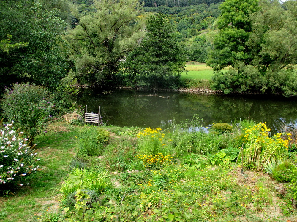 04.JPG