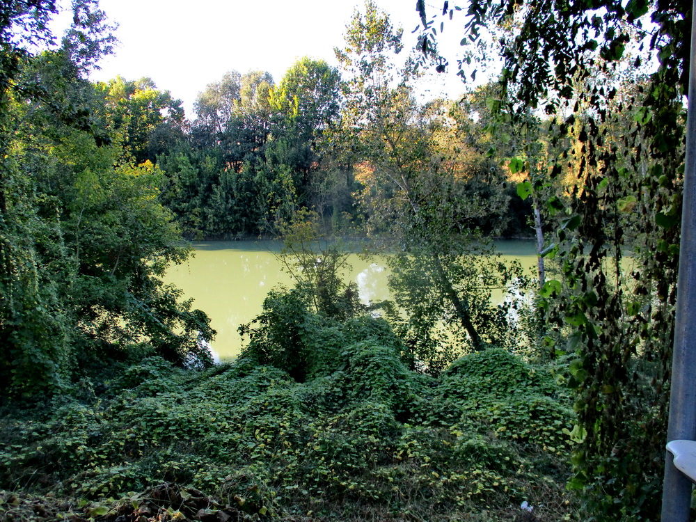 04.JPG