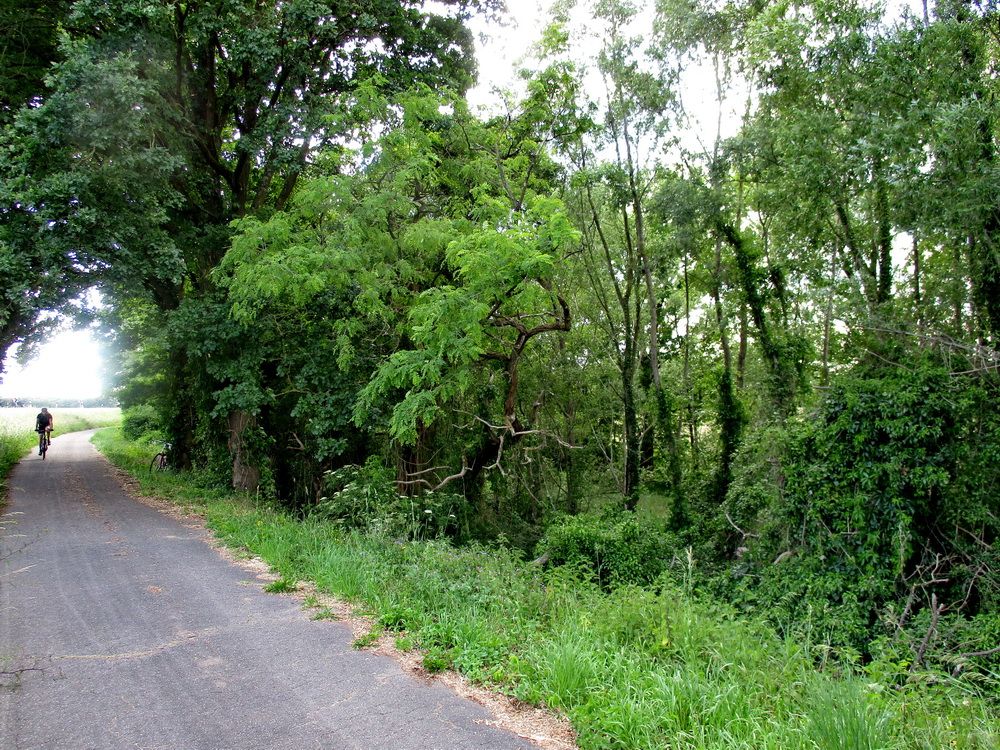 04.JPG