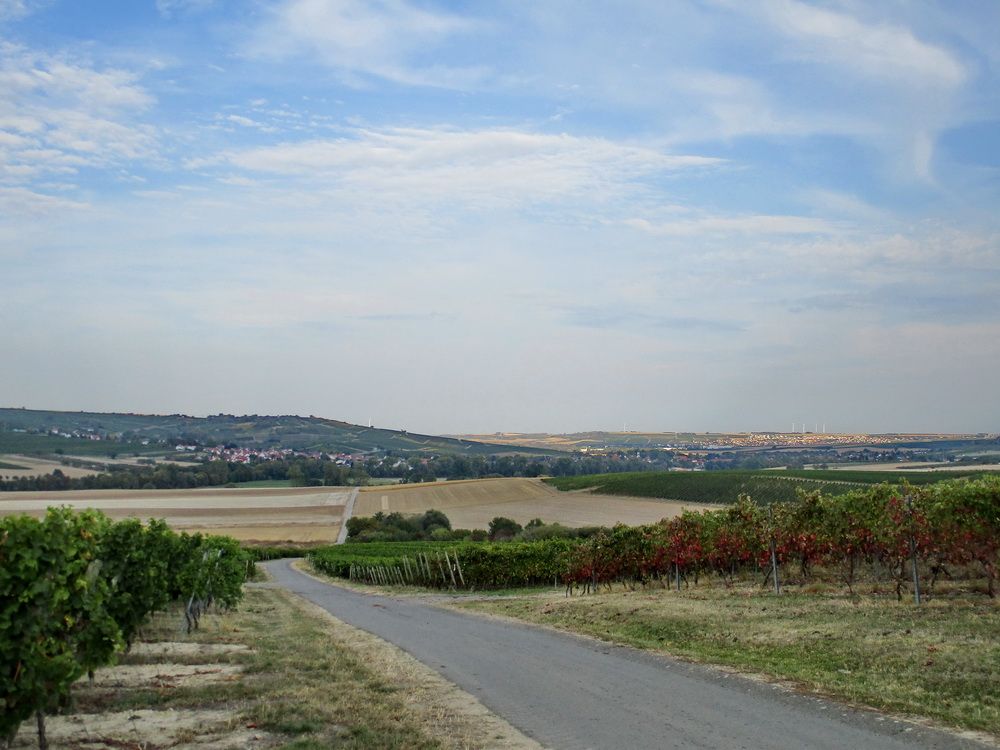 04.JPG