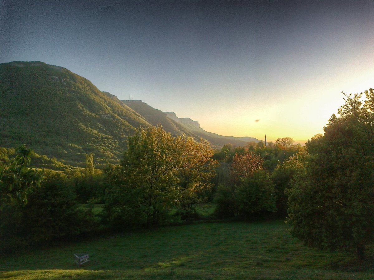 04052016778-01.jpeg