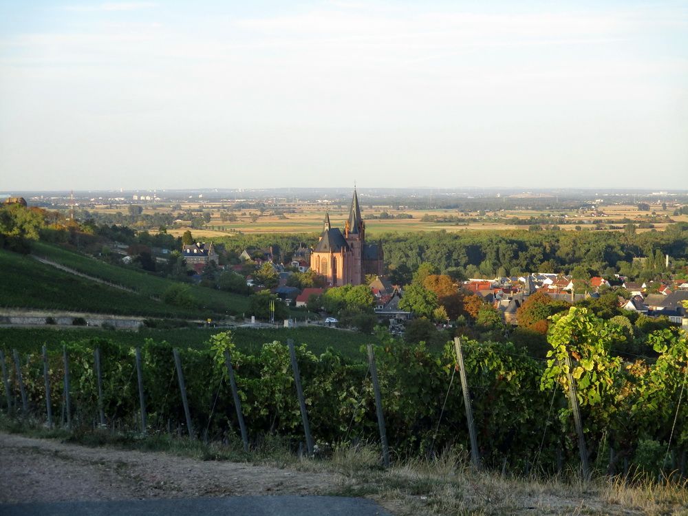 05.JPG