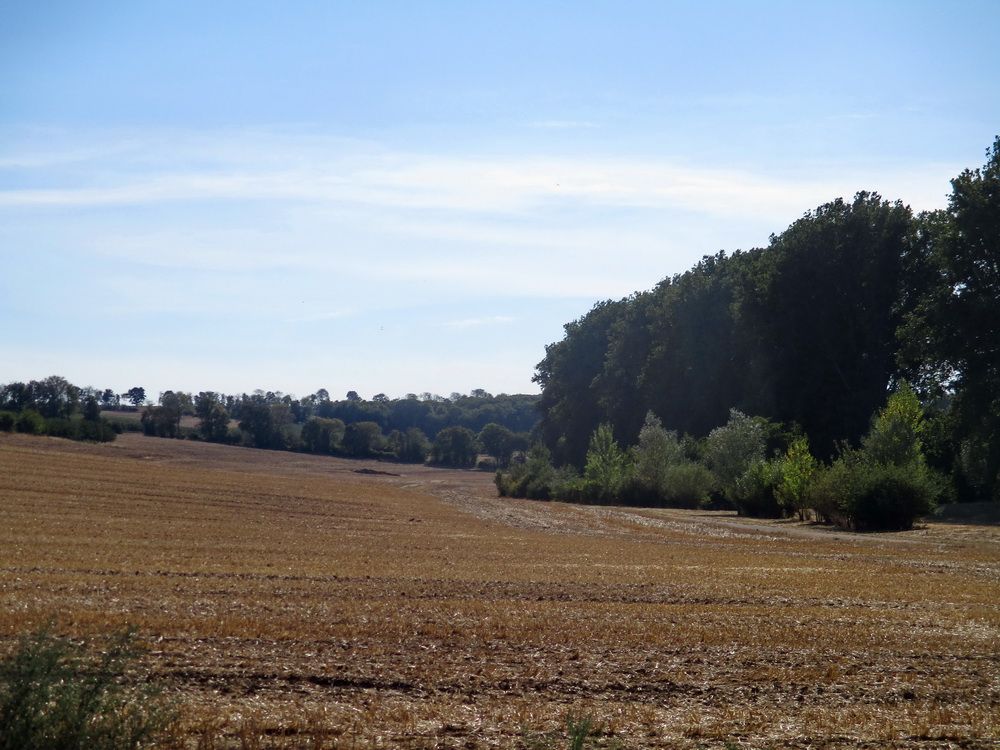 05.JPG