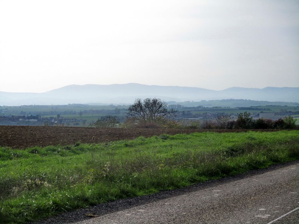 05.JPG