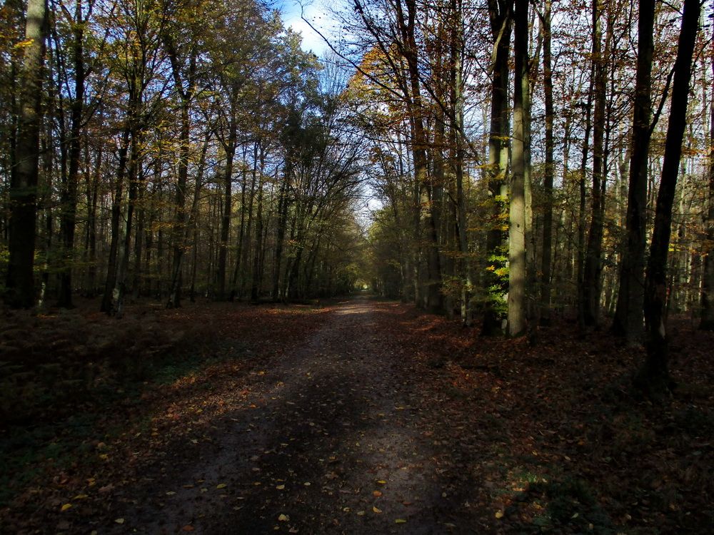 05.JPG