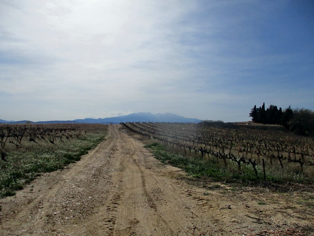 05.JPG
