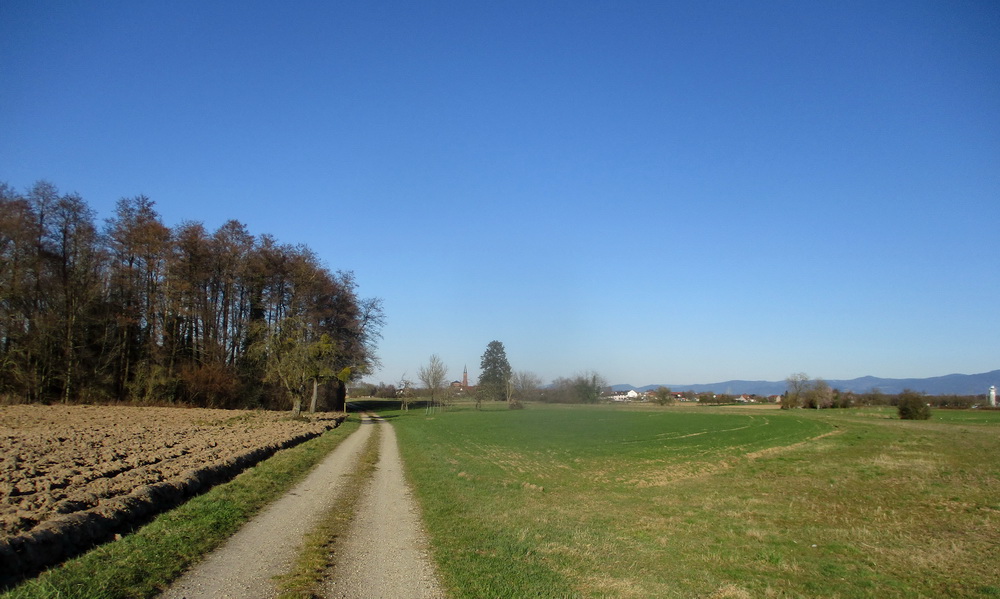 05.JPG