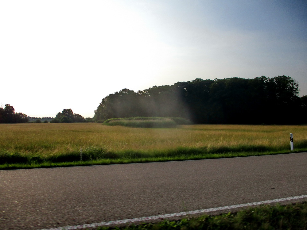 05.JPG