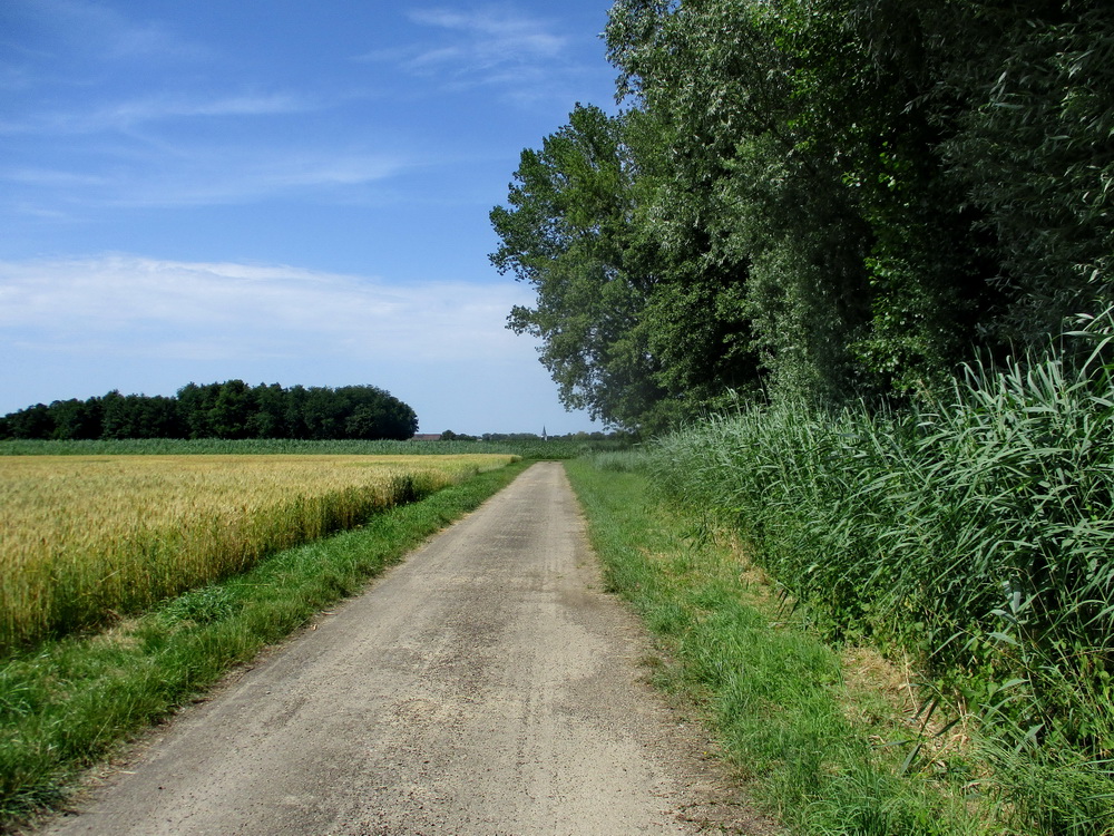 05.JPG