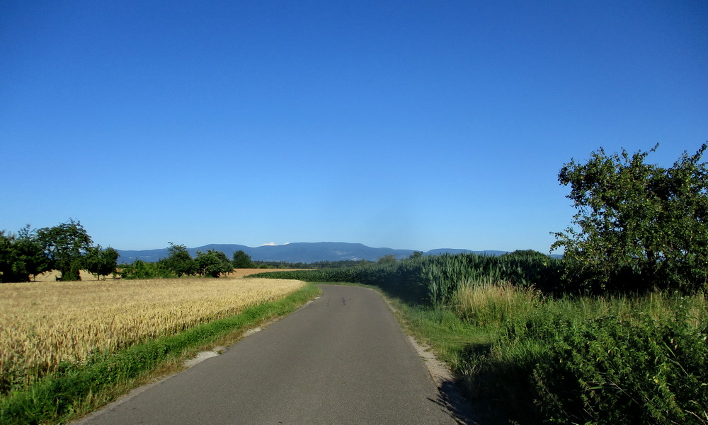 05.JPG