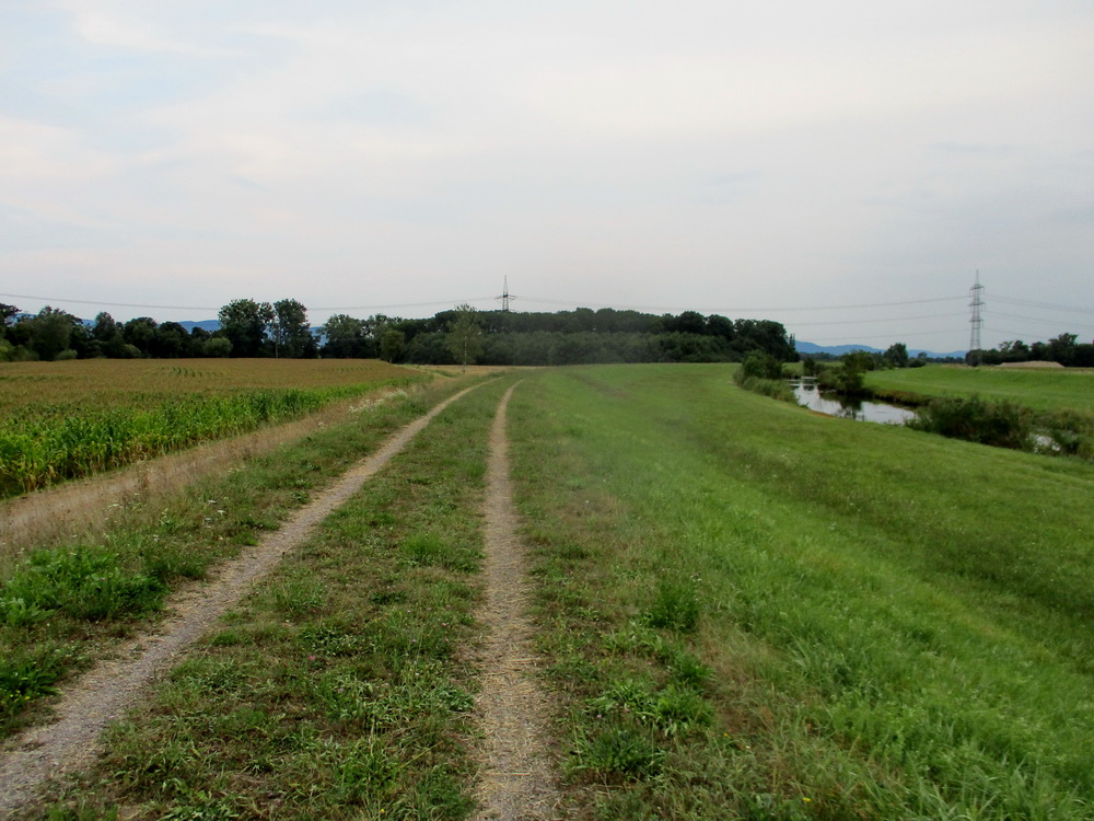 05.JPG