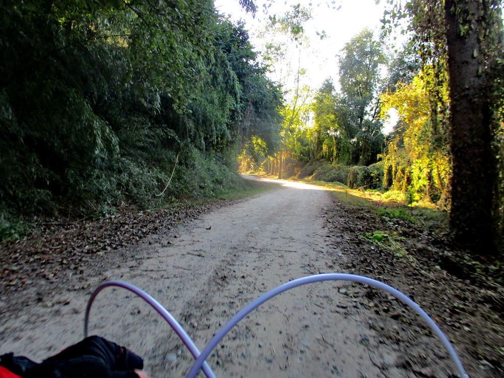 05.JPG