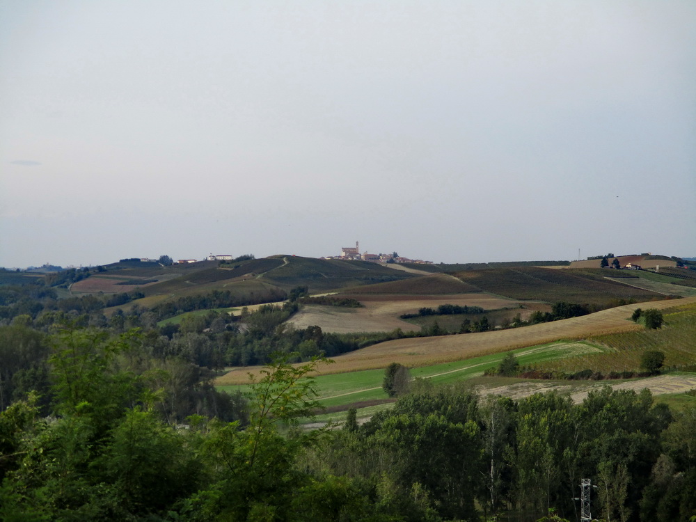 05.JPG