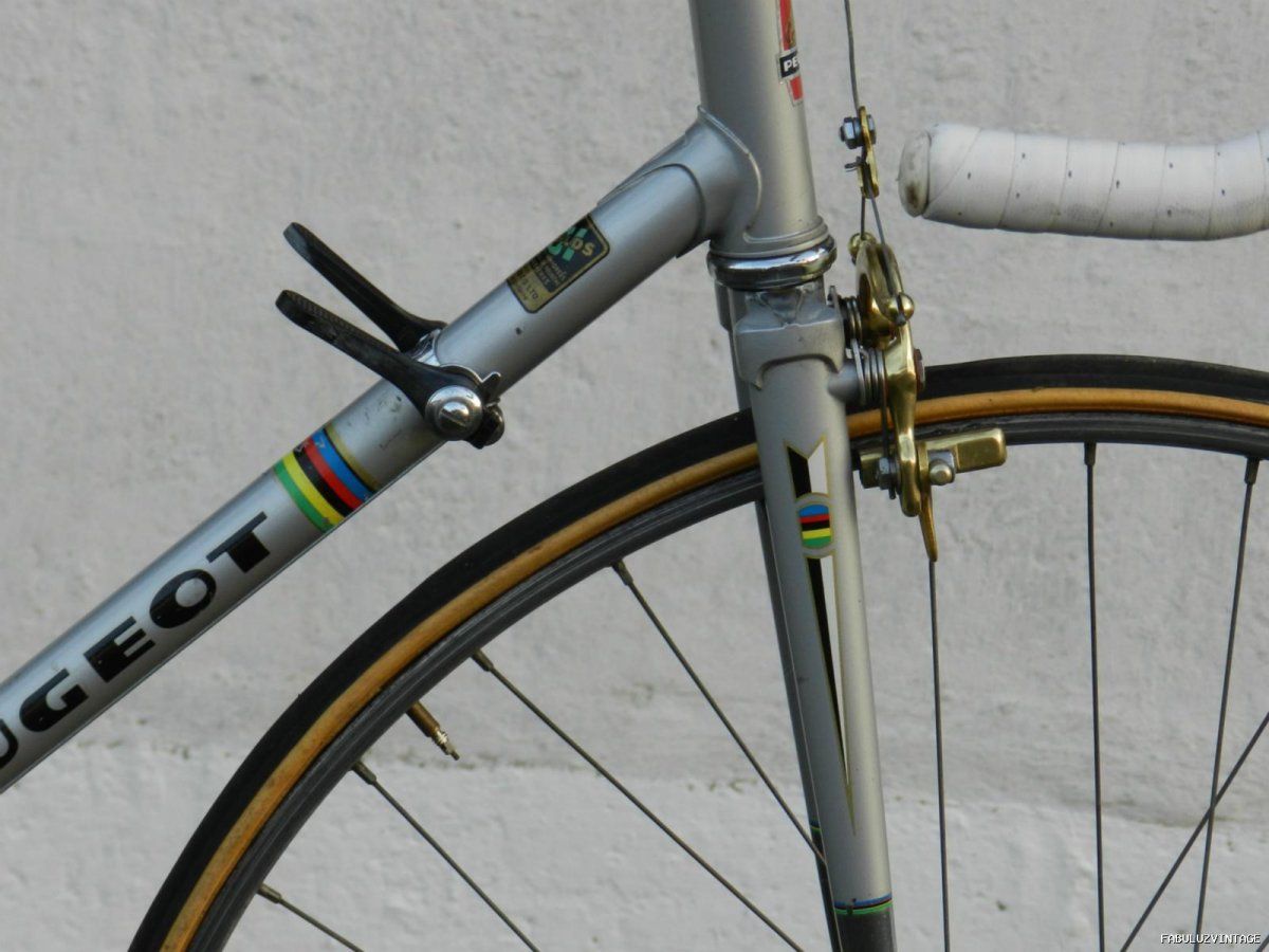 05.jpg