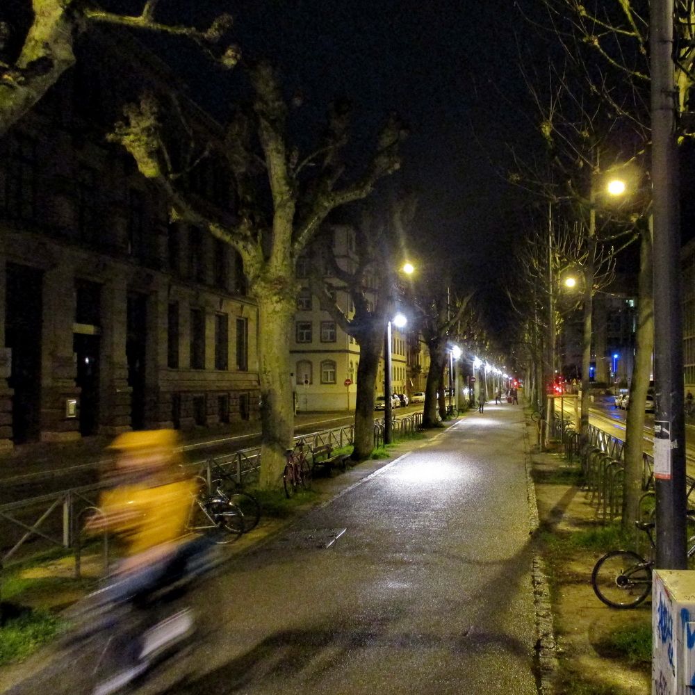 05.JPG