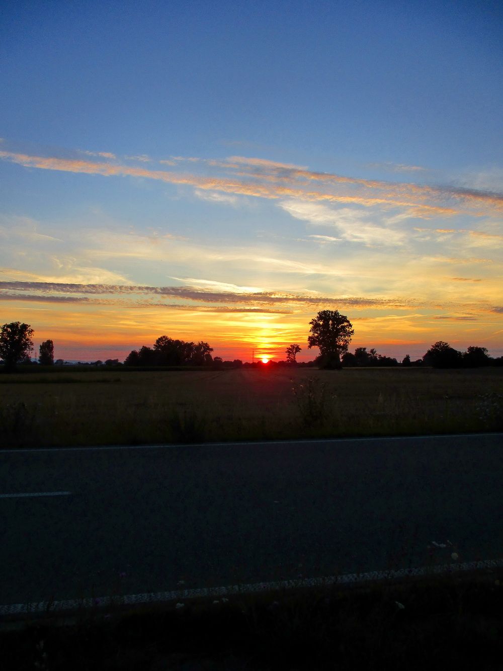05.JPG