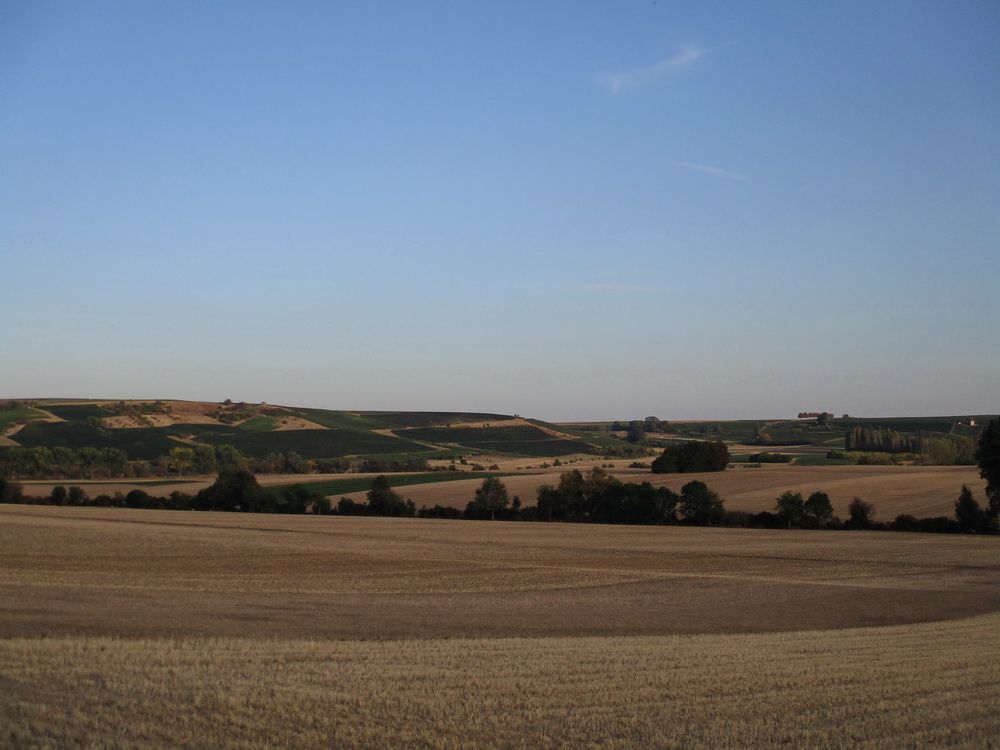 05.JPG
