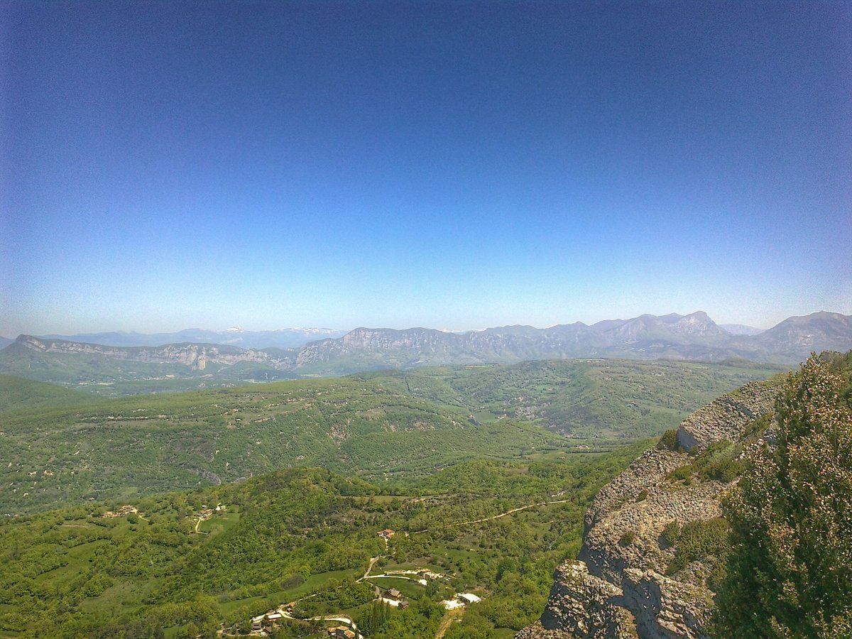 05052016784-01.jpeg
