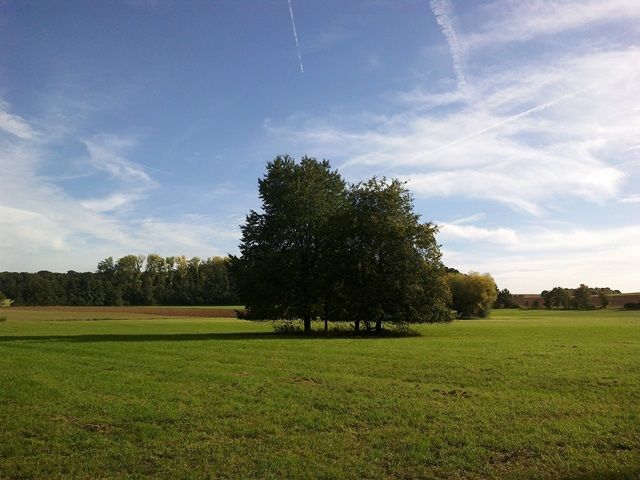 05102015462.jpg