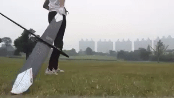 06.gif