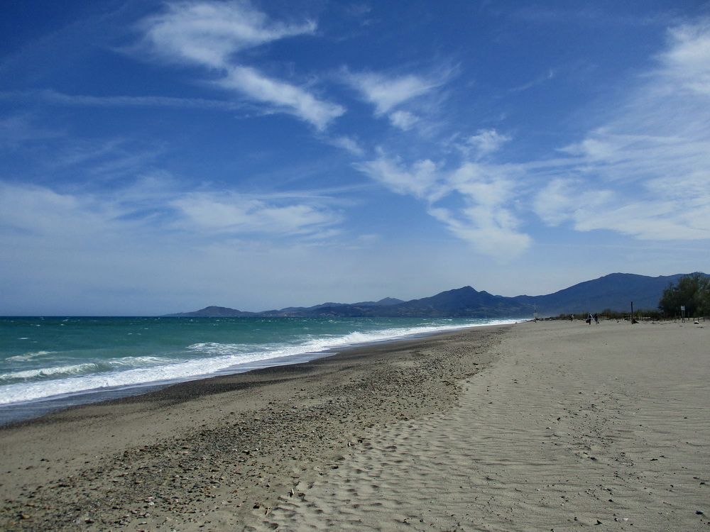 06.JPG